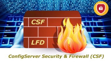 CSF